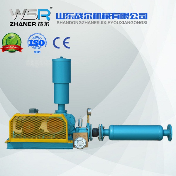 WSR-50污水行业用罗茨鼓风